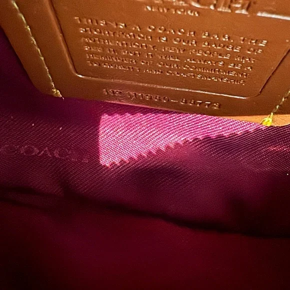 Coach REXY 🦖 rainbow carriage and Tan sling bag with rainbow 🌈 Strap - Picture 9 of 12